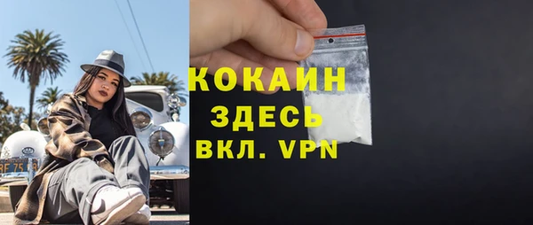 spice Алексин
