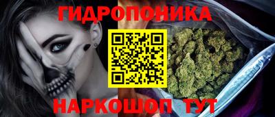 крисы Пугачёв