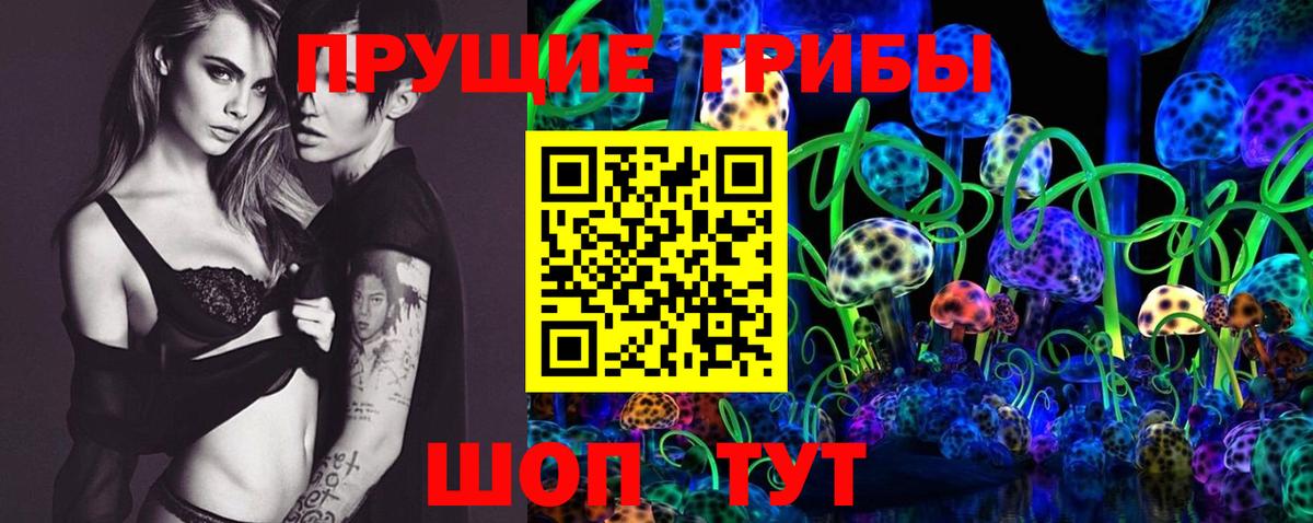 Псилоцибиновые грибы прущие грибы Бирск