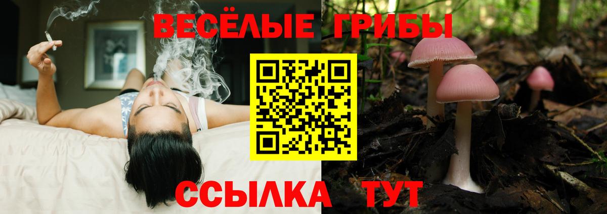 Псилоцибиновые грибы Magic Shrooms  Вход с VPN  Бирск 